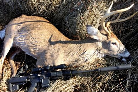 Deer Hunting Tips: Best Weapons, Safety Questions and Expert's Advices