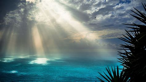 22+ Beach Sunray Wallpapers for Desktop | Design Trends - Premium PSD ...