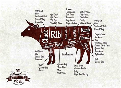 Chart Of Beef Cuts From A Cow