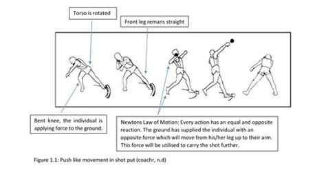 Biomechanics of shot put