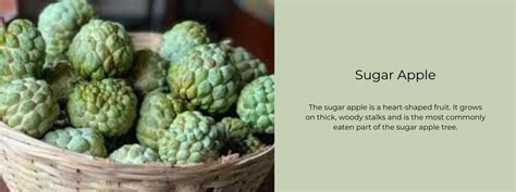 Sugar Apple - Health Benefits, Uses and Important Facts - PotsandPans India