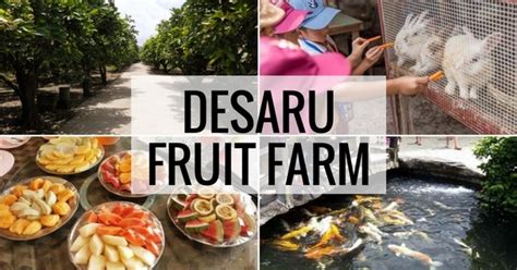 Desaru Fruit Farm Kota Tinggi Johor