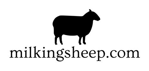 Sheep Milk Production — Milking Sheep