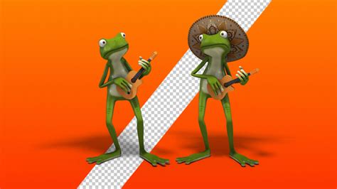 Frog In Sombrero With A Guitar (2 Pack), Motion Graphics | VideoHive