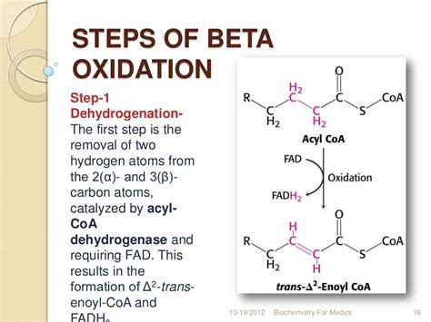 Fatty acid oxidation