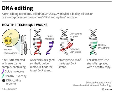 7 major advancements in gene editing in 2015 | World Economic Forum