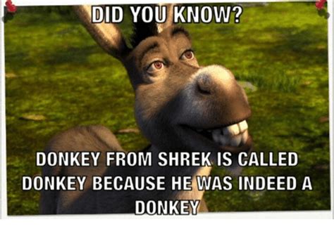 150+ Funny Shrek Memes For True Ogres (And Donkeys) – FandomSpot