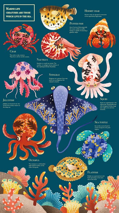 Marine life on Behance | Marine life art, Sea illustration, Animal ...