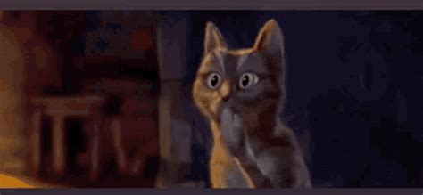 Ohhh Really GIF - Ohhh Really Cat - Discover & Share GIFs