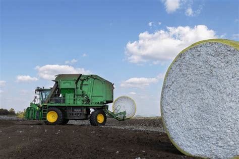 231 Commercial Cotton Farm Images, Stock Photos, 3D objects, & Vectors ...