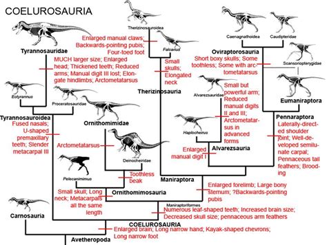 25 best images about Theropoda on Pinterest | Trees, Models and Artworks