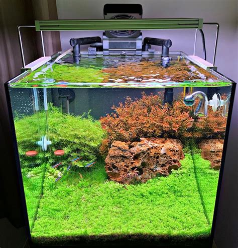 Types of Fish Tanks- Which One is the Best for You - Bunnycart Blog