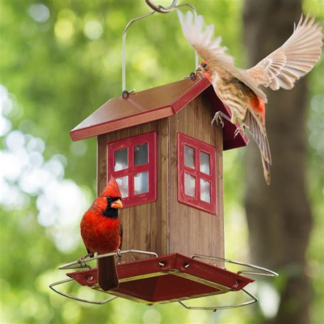 Cute Small Bird House Feeder – Garden Lovers Club