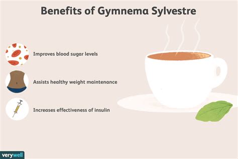 Gymnema Sylvestre: Benefits, Side Effects, Dosage, and Interactions