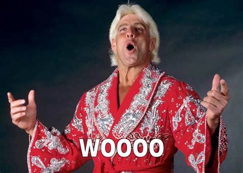 Latest & Best Ric Flair Memes - ITN WWE