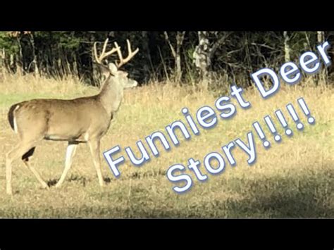 22-250 deer kill - YouTube