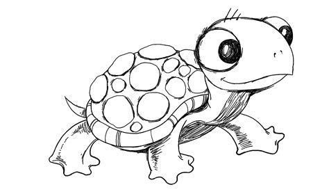 Turtle Image Drawing at GetDrawings | Free download