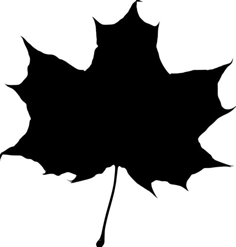 Maple Leaf Silhouette transparent PNG - StickPNG