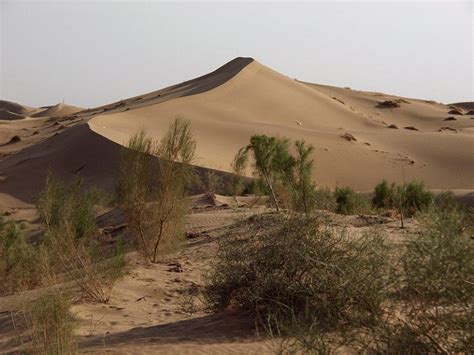 Karakum Desert - Alchetron, The Free Social Encyclopedia