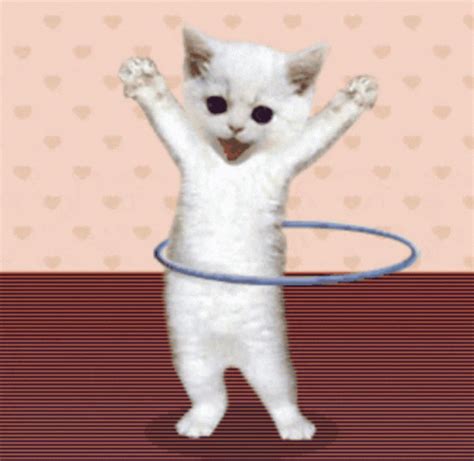 Cute Cat Sticker Dance GIF | GIFDB.com