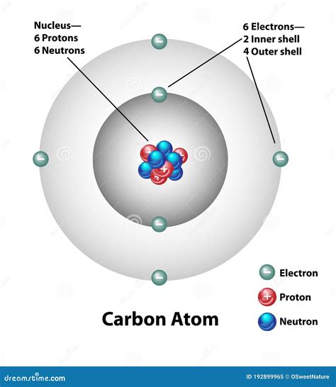 Carbon Atom Molecular Structure Labels Stock Vector - Illustration of ...