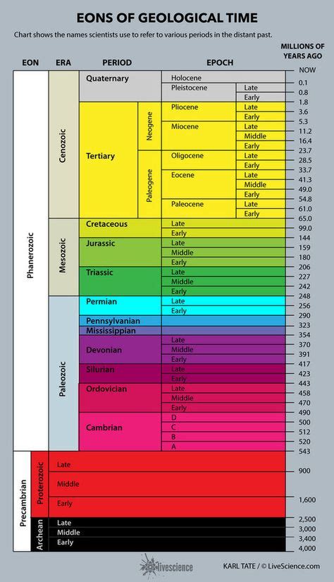 Cambrian Period & Cambrian Explosion: Facts & Information | Geology ...