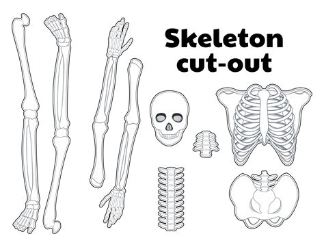 Cut Out Printable Skeleton Bones - prntbl.concejomunicipaldechinu.gov.co