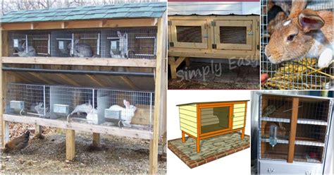 rabbit - animal: Rabbit Hutch Plans Diy