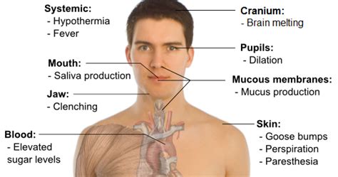 SEE WHAT I SAW: Possible Physical effects of lysergic acid diethylamide ...