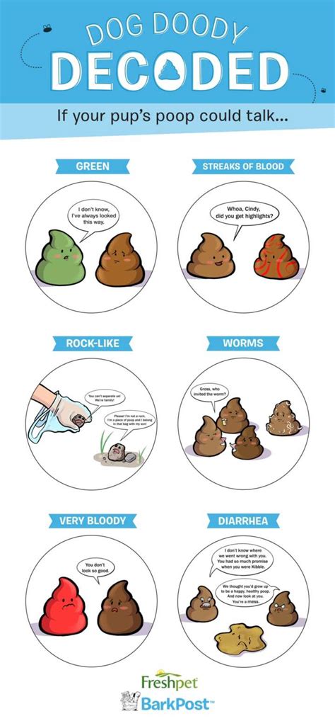 pin on poop - dog diarrhea dog health today | diarrhea color chart for ...