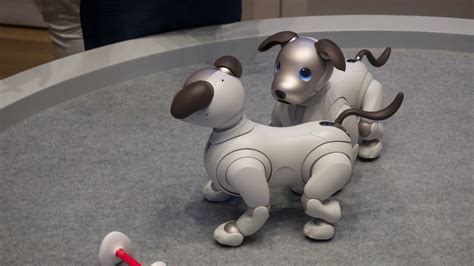 Hands on: Sony Aibo review | TechRadar