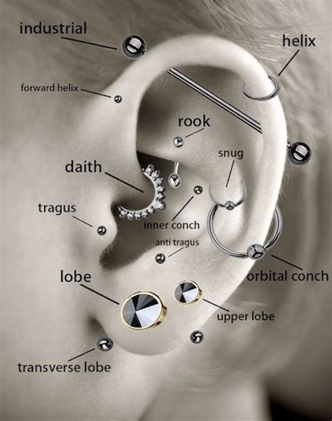 Your Guide To Cartilage Ear Piercings: 10 Types To Know – Zensa Skin Care