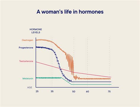 Female Hormone Cycle Chart