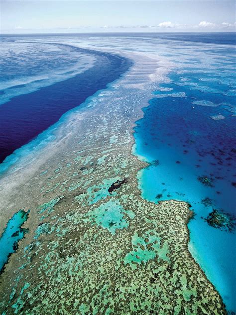 Australia Unveils Its Plan to Protect Great Barrier Reef - The New York ...