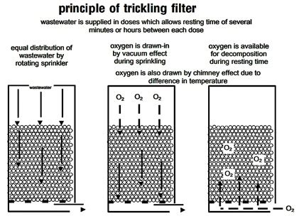 Working of Trickling Filter Technology in Sewage Treatment