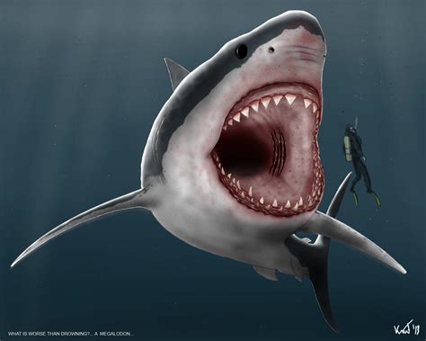 🔥 [40+] Megalodon Wallpapers HD | WallpaperSafari