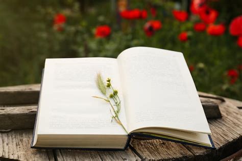 Libro abierto con flores de espiga y manzanilla en la mesa de madera al ...