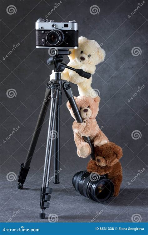 Camera and Group of Teddy Bears Isolated Stock Photo - Image of support ...