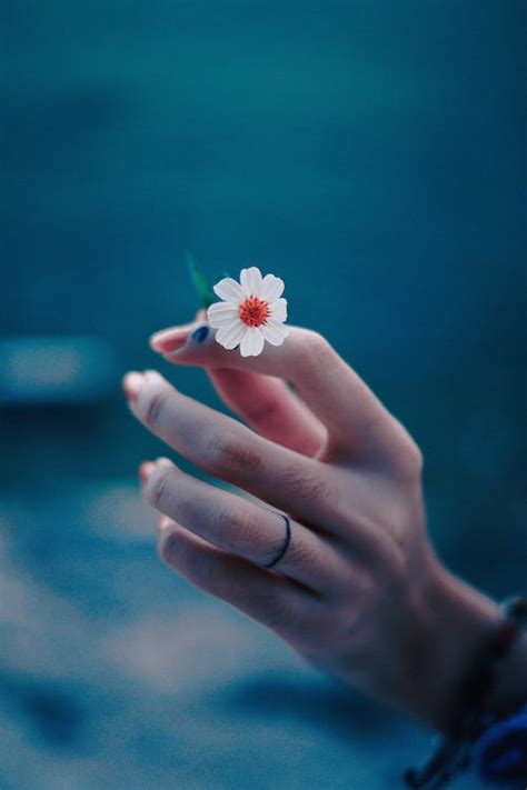 Photo of Person's Hand Holding a Tiny Flower · Free Stock Photo