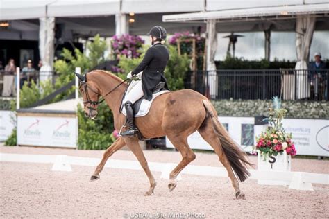 2016 Wellington Eventing Showcase Dressage - USEA, United States ...