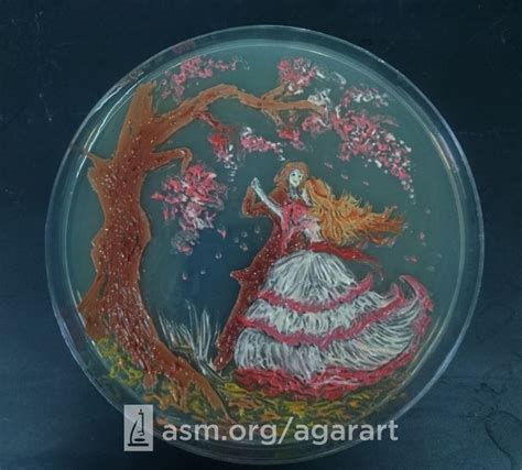 Alexander Fleming’s Microbial Art | Amusing Planet