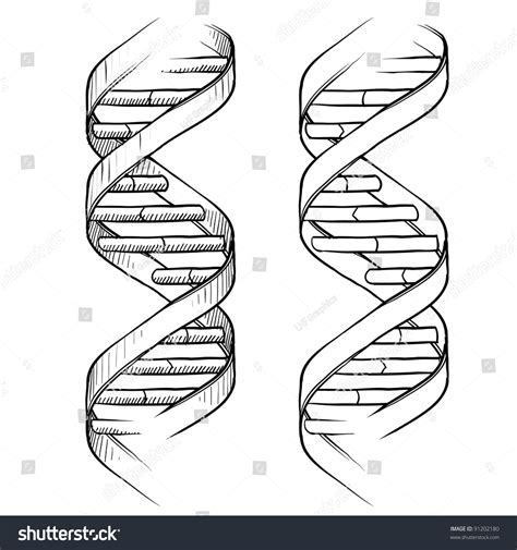 Dna Advertisement Royalty-Free Images, Stock Photos & Pictures ...