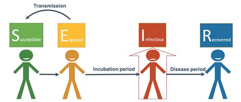 Developing and Using Computer Models to Understand Epidemics | NSTA