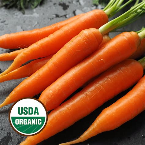 Organic Carrot Seeds - Organic Danvers