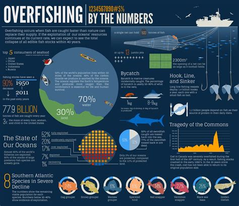 Pin on info graphic