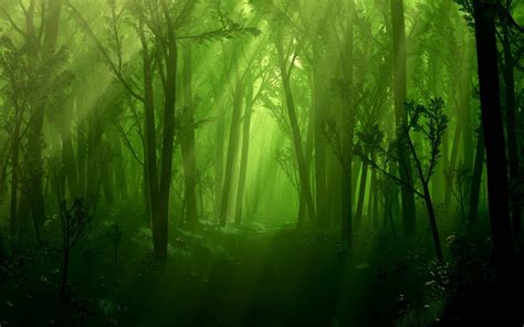 Enchanted Forest Wallpapers - Top Free Enchanted Forest Backgrounds ...