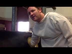 Fistulated Cow at Cornell University - Dave Gardner - YouTube