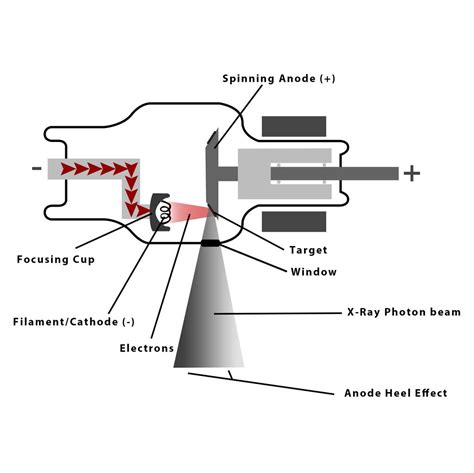 X Ray Tube – Telegraph