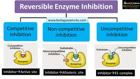 Reversible Enzyme Inhibition: Competitive, Non Competitive and ...