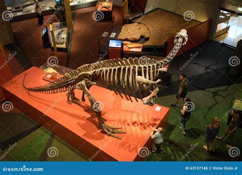 Queensland Museum Dinosaur Skeleton Display Editorial Photo - Image of ...